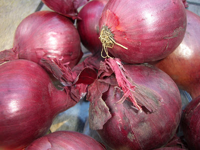 Usage of insecticide preserve red onions blinds farmers in southern Vietnam 